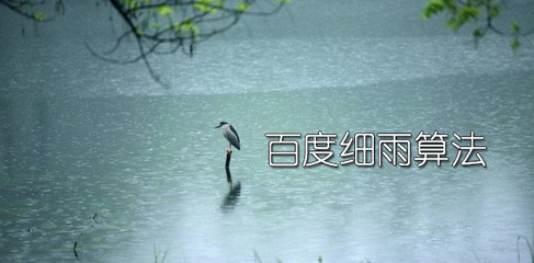 企業站遭百度“細雨算法”打擊後該怎麽辦？